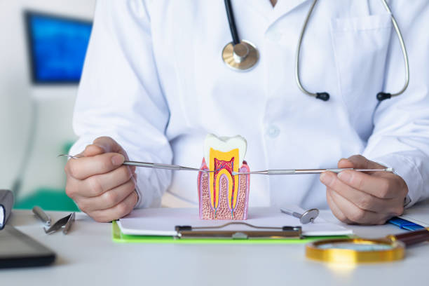 Best Emergency Dental Extractions in Fort Branch, IN